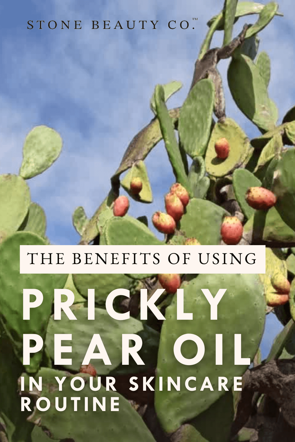 Beauty's Most Coveted Oil: Prickly Pear